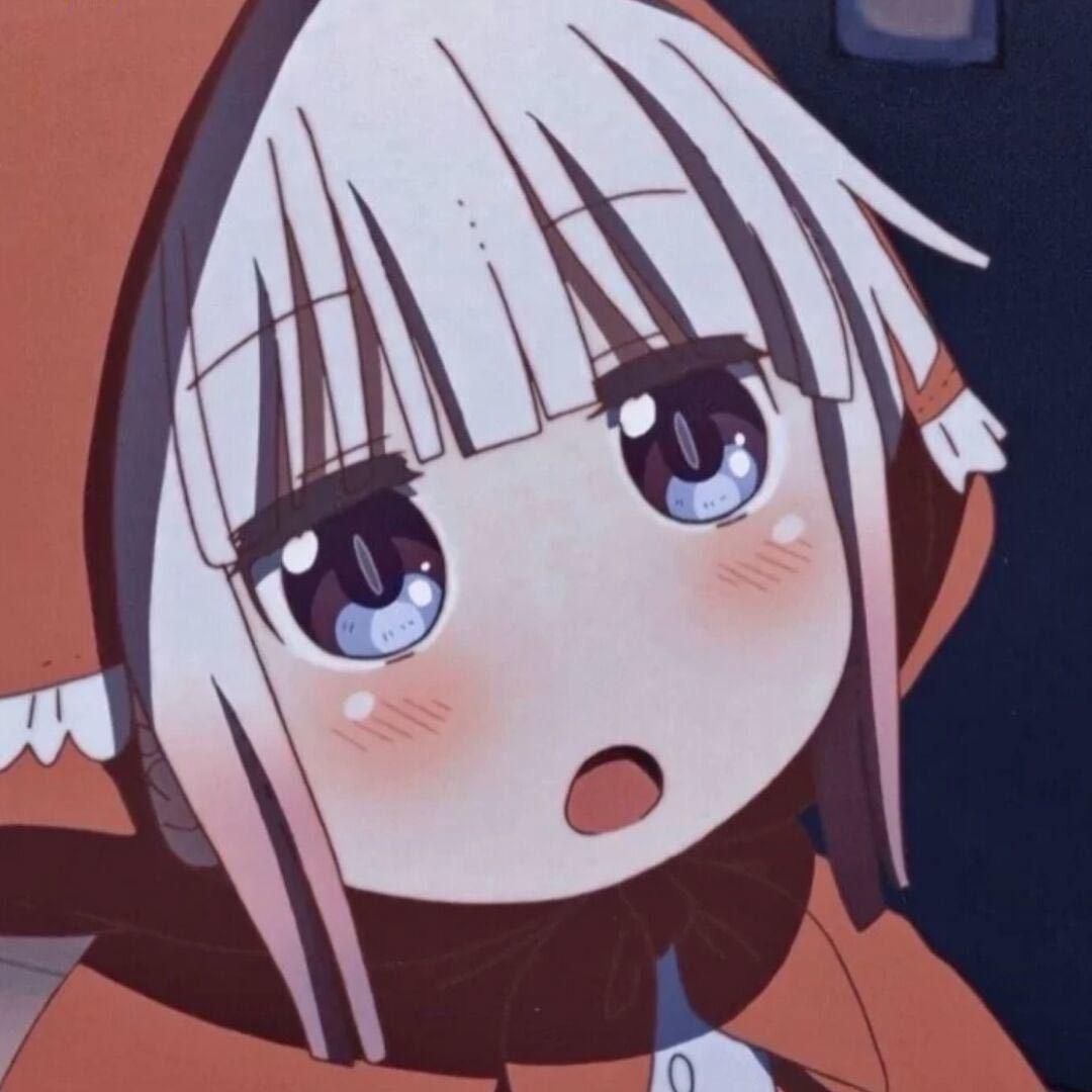 胡萝卜大王（看过鹿晗四巡版）