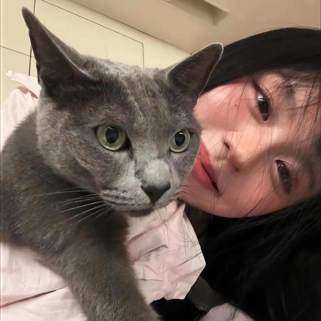 @可乐加冰🧊
