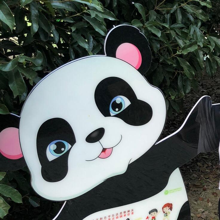 碗儿