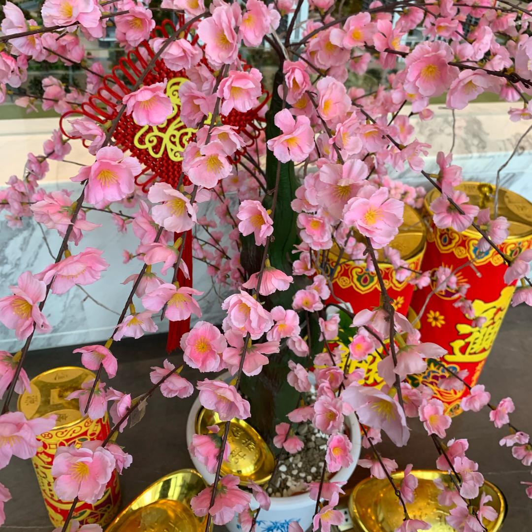 用户494355040294面对人生