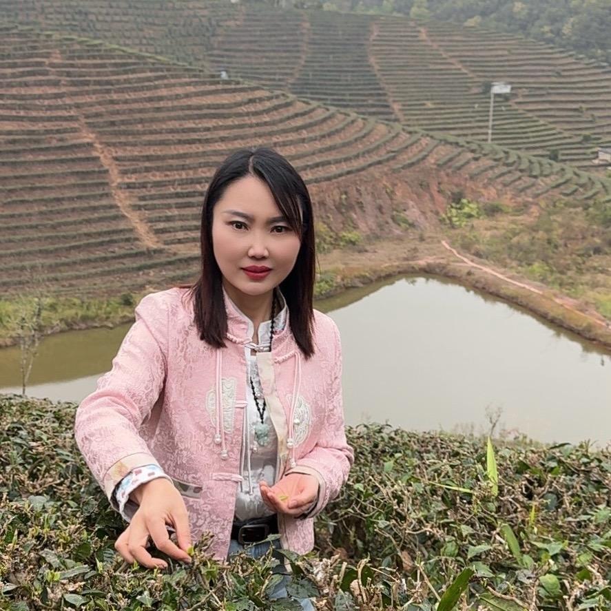 春风得意