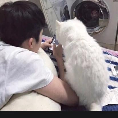 出口买单报关～Steven