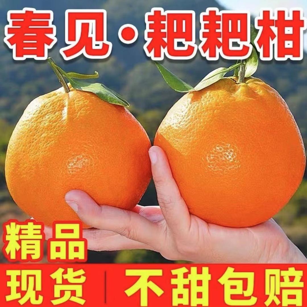 塬上果业