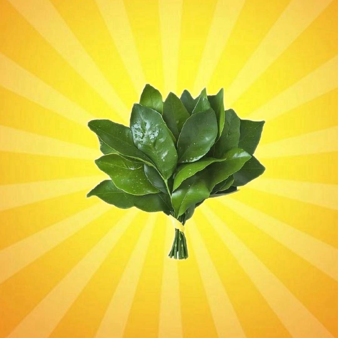 海南 啊水💦💦