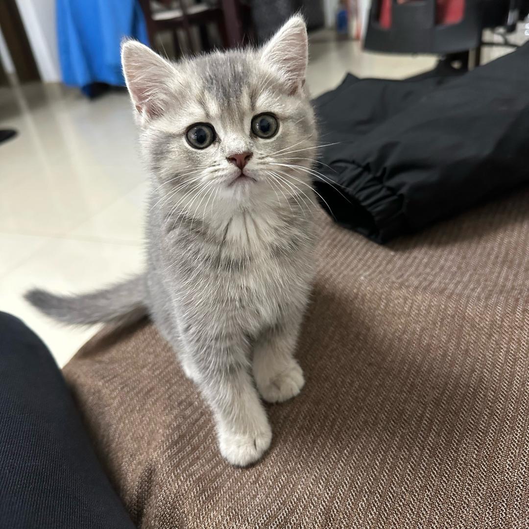 七零后后