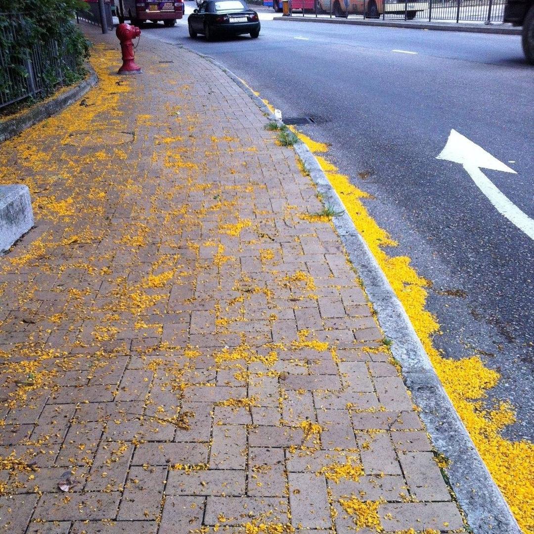 头顶宝葫芦