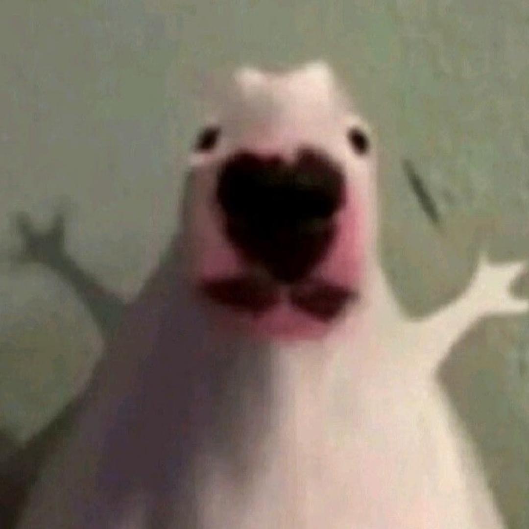 AAA东门大饼摊陈师傅