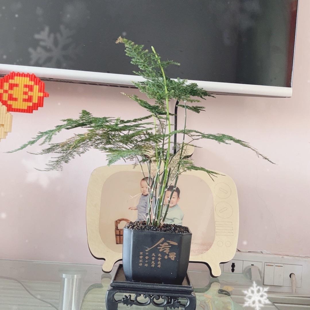 承恩百货商行