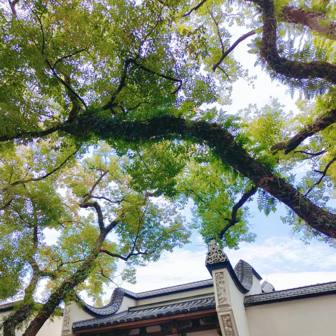 你霉柿吧˚.🧸