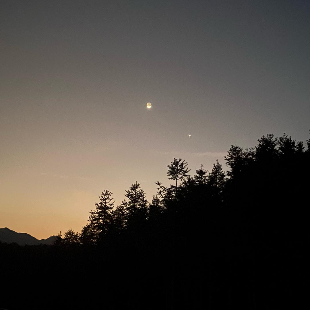 省略