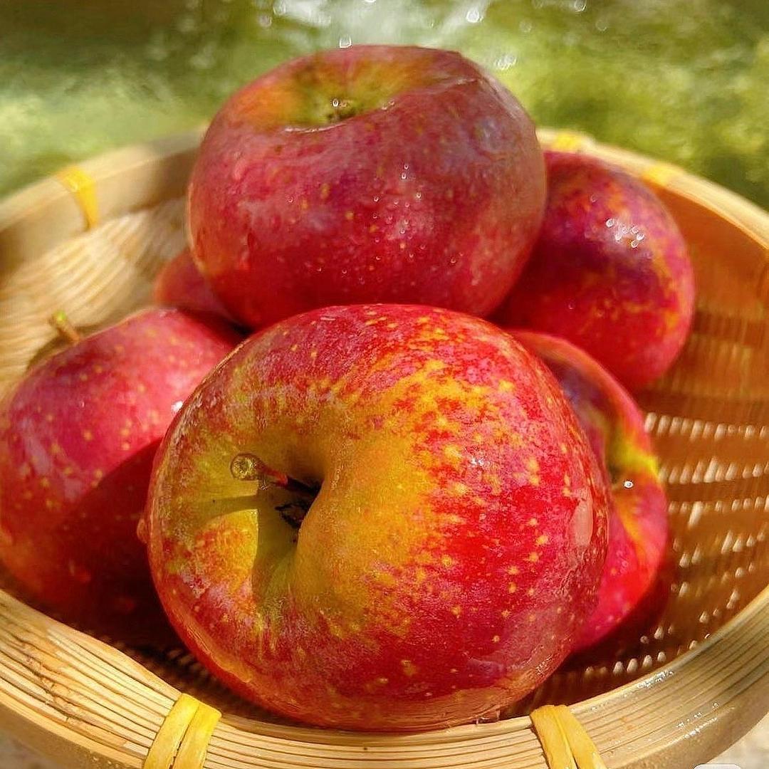 小乐农家果园甄选