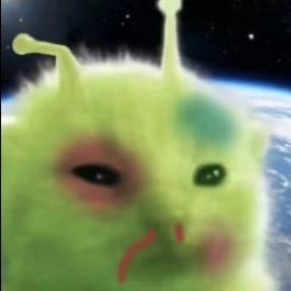 乐乐