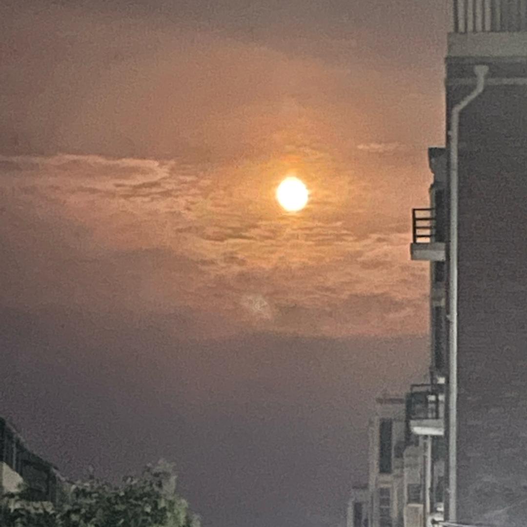 黑暗中的一粒光