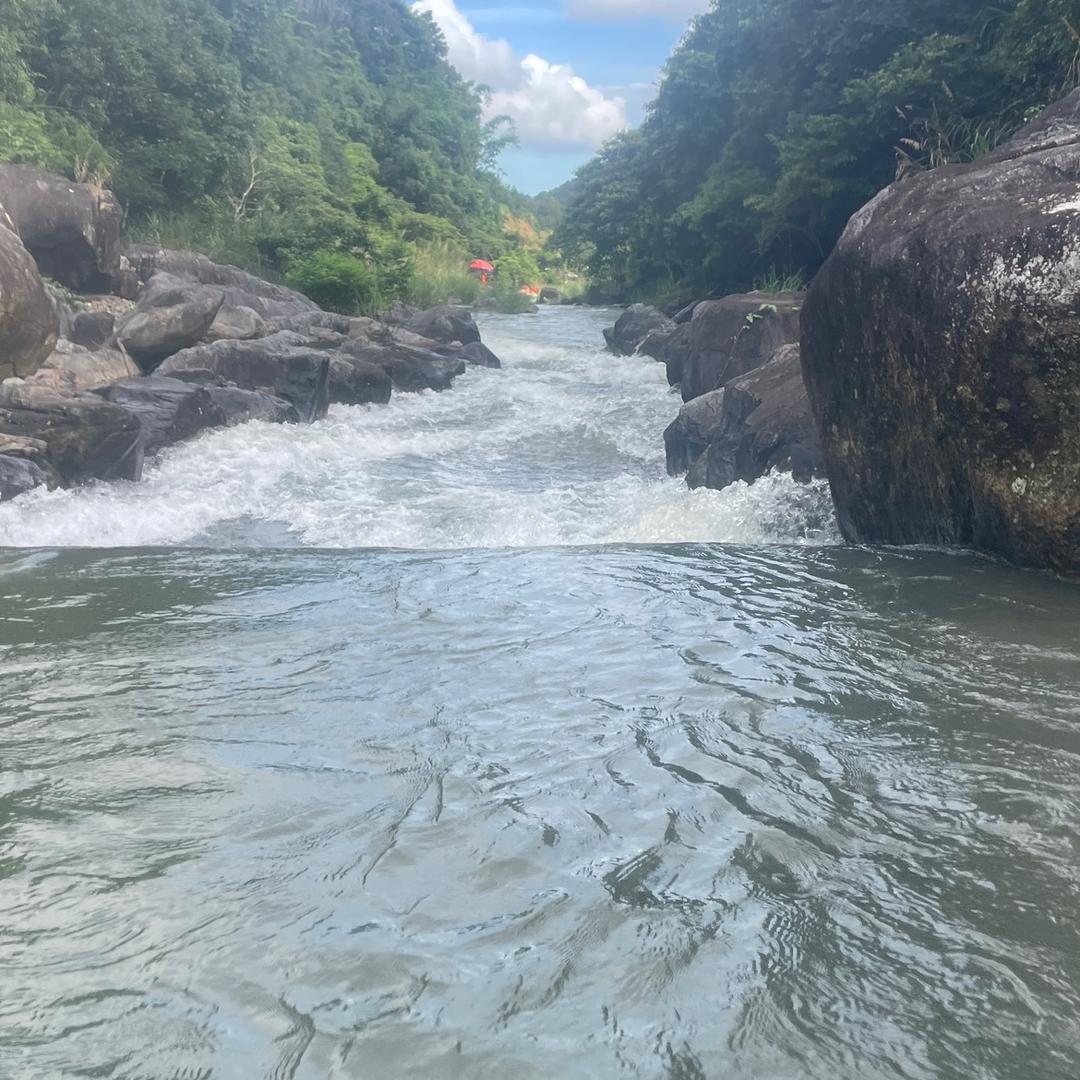 要去码头整点薯条～