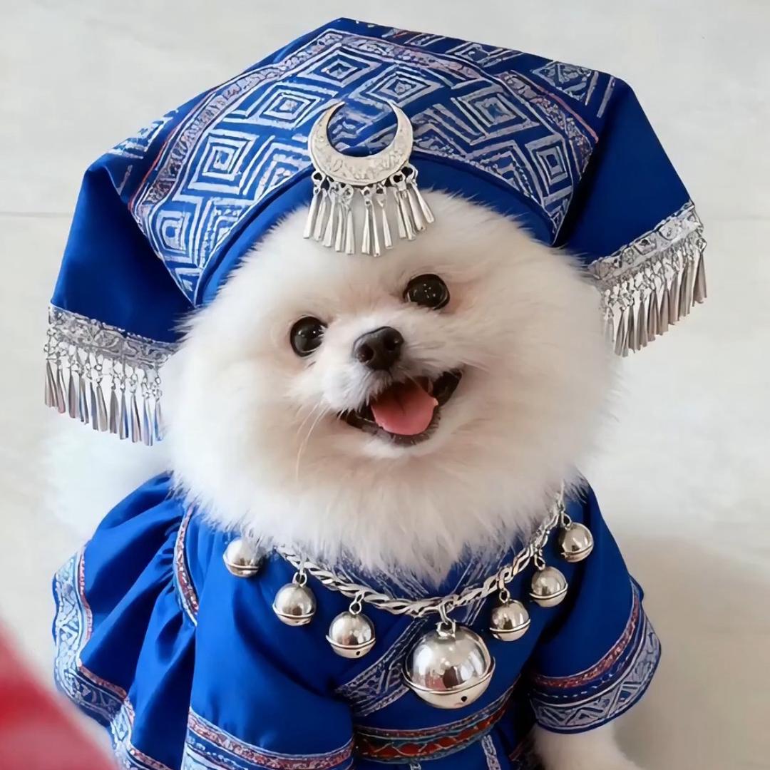 Sasa