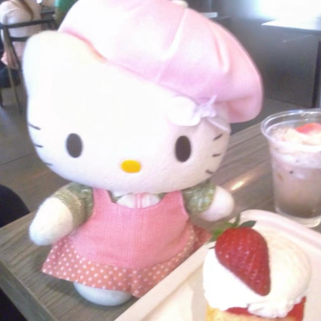 不爱吃草KittyShop