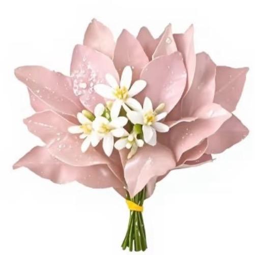 努力去见易烊千玺.