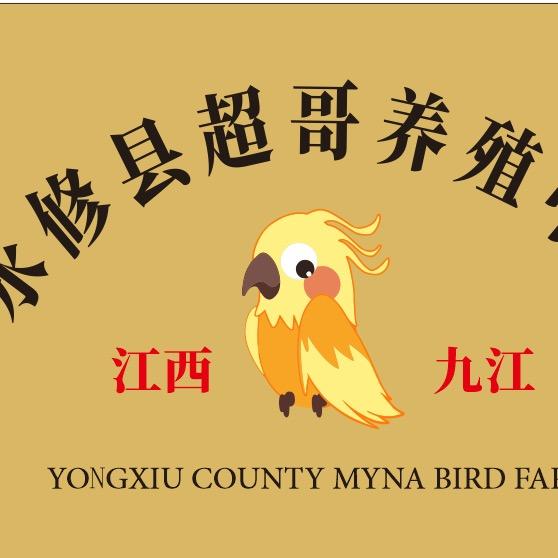 江西超哥八哥繁殖场