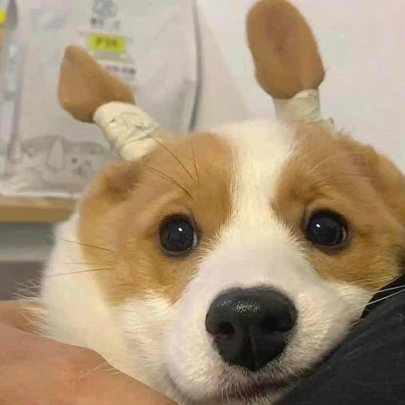 abbbb