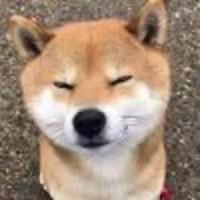 和平精英圣词