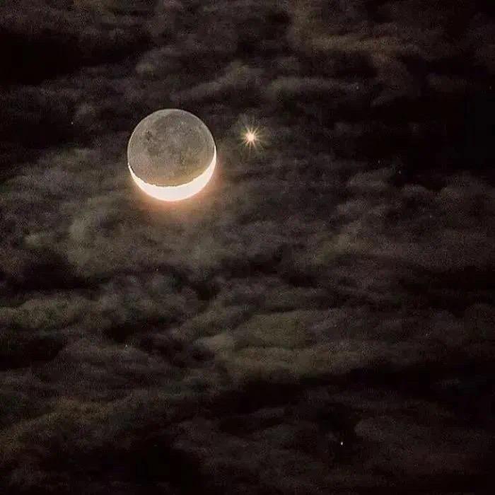 -乌鸦有罪论🌙