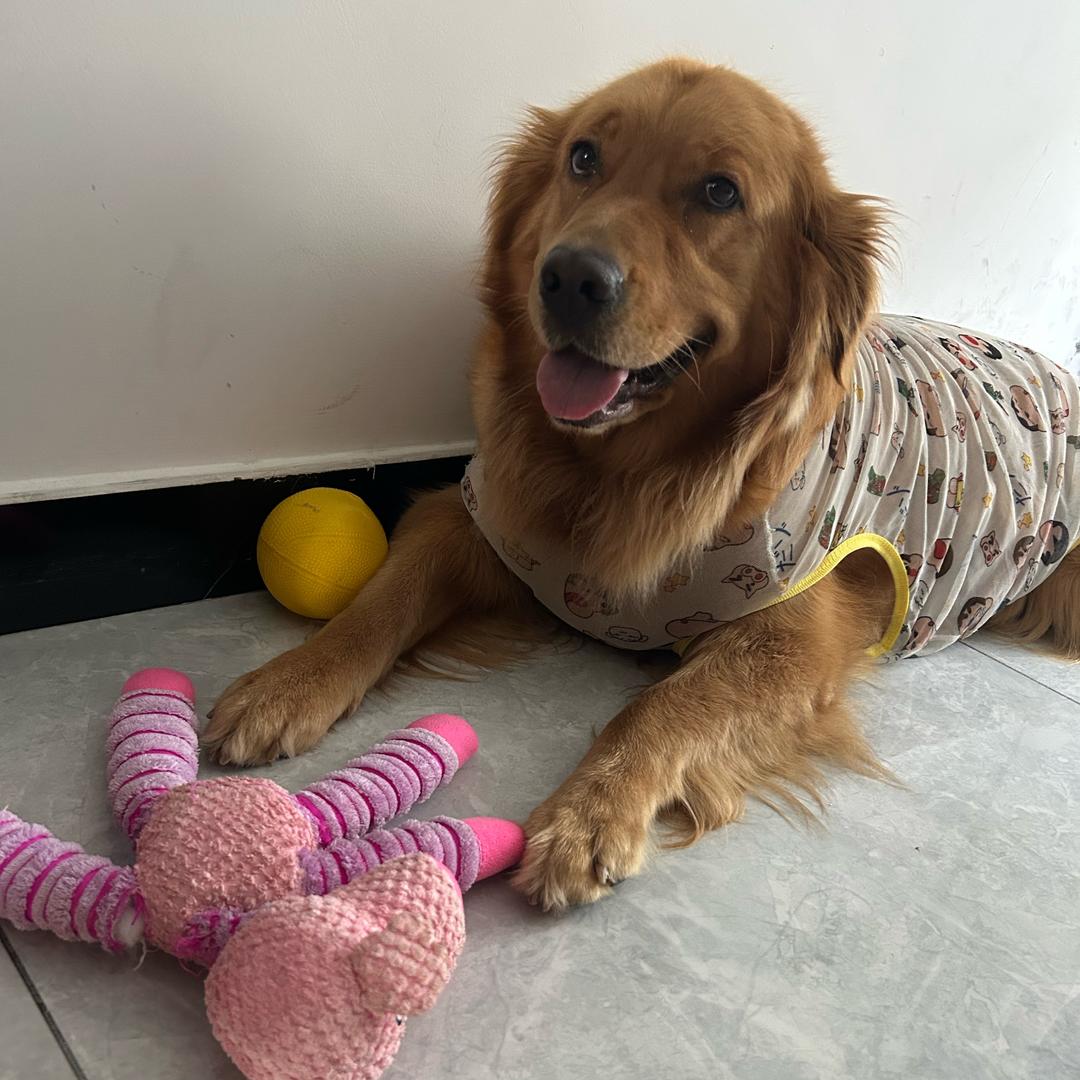 凤玲的乐乐之“可云”