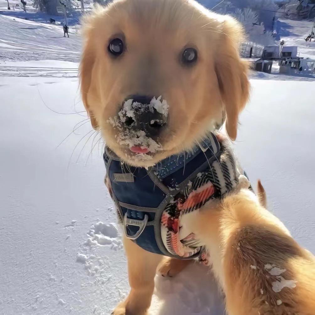 。。。。。，