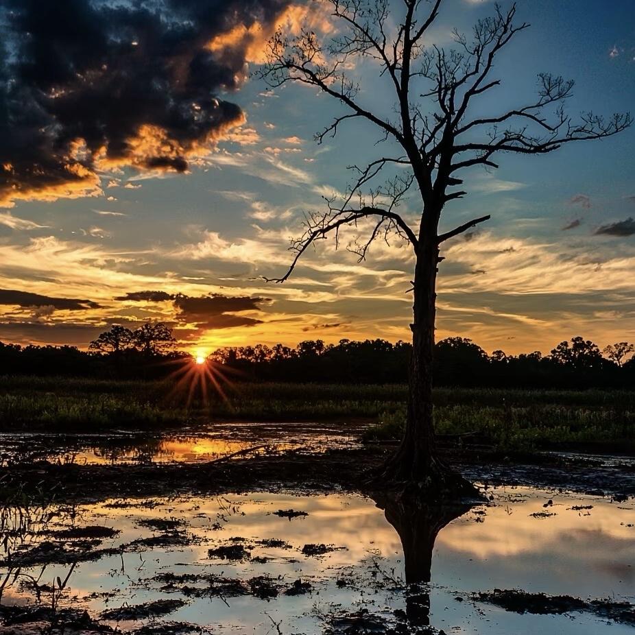 南京宁瑞秀科技有限公司星3