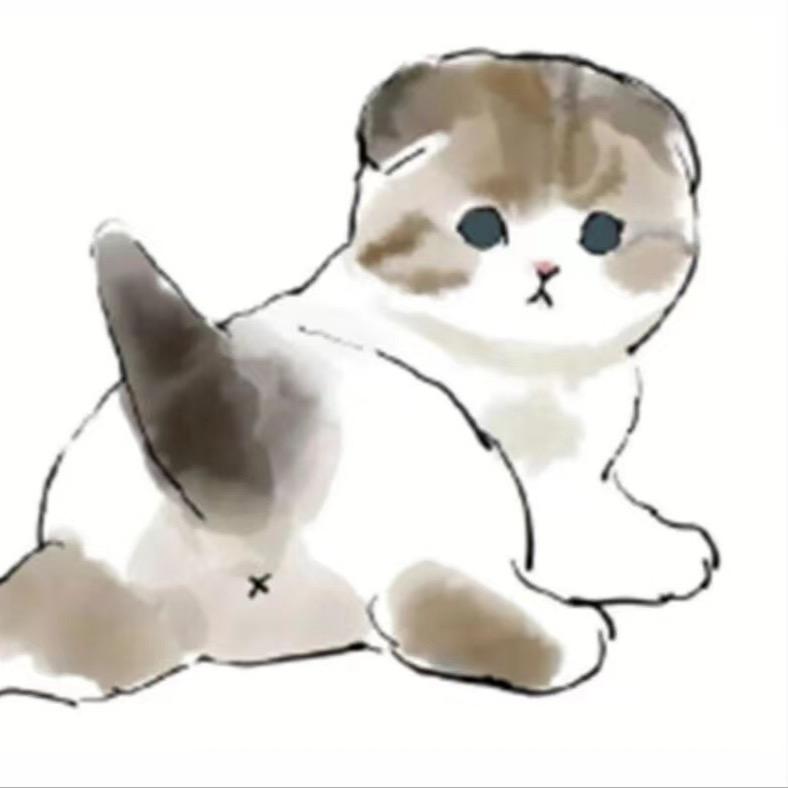 棉棉家的宠物用品店