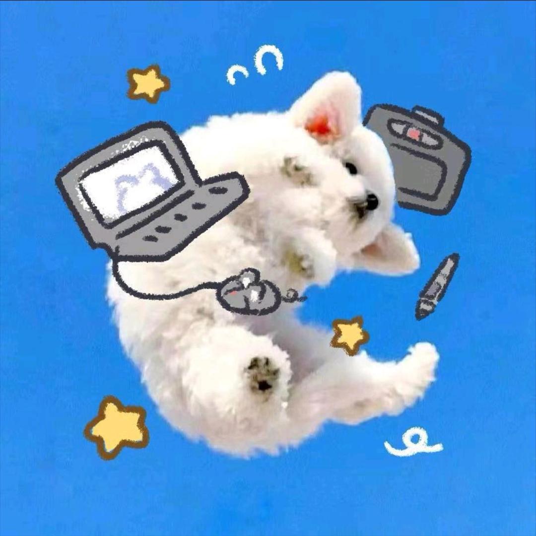 橘子皮