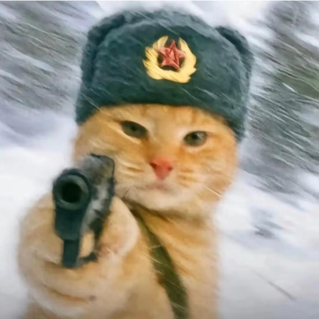 暴躁继父