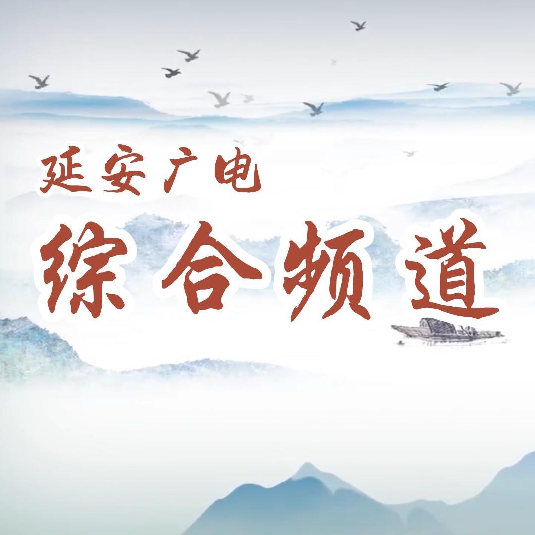 延广综合频道