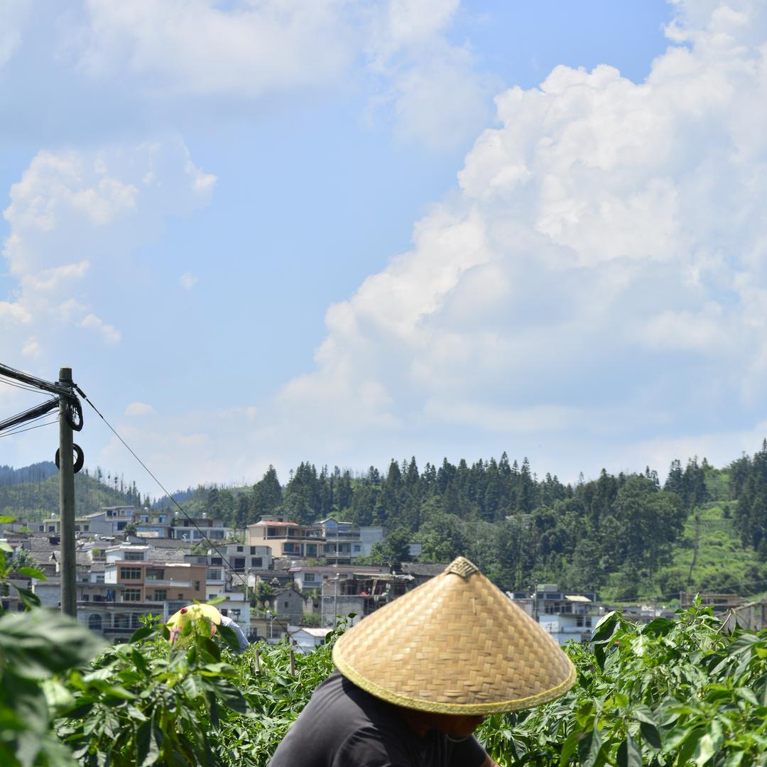 贵州萌豆农副产品甄选
