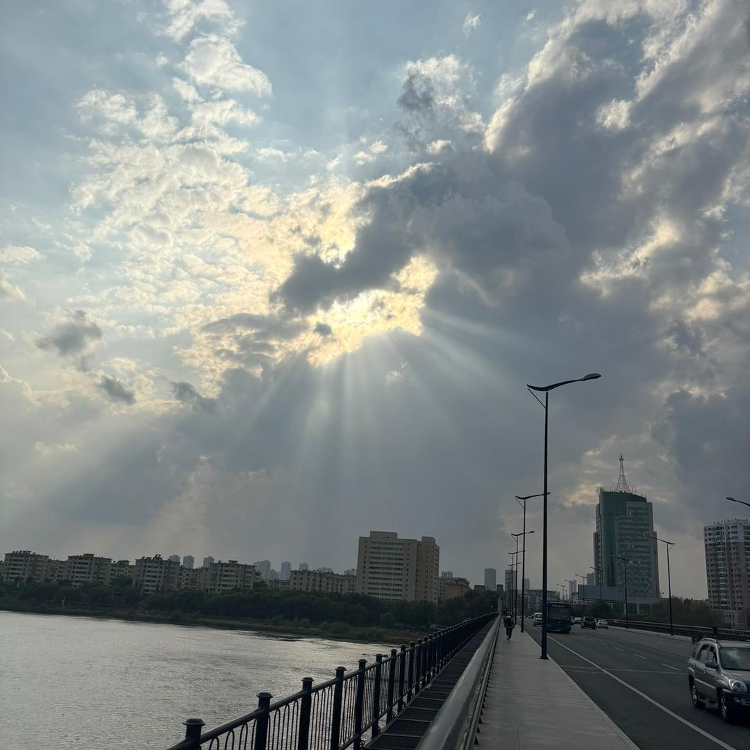 慕尘枫