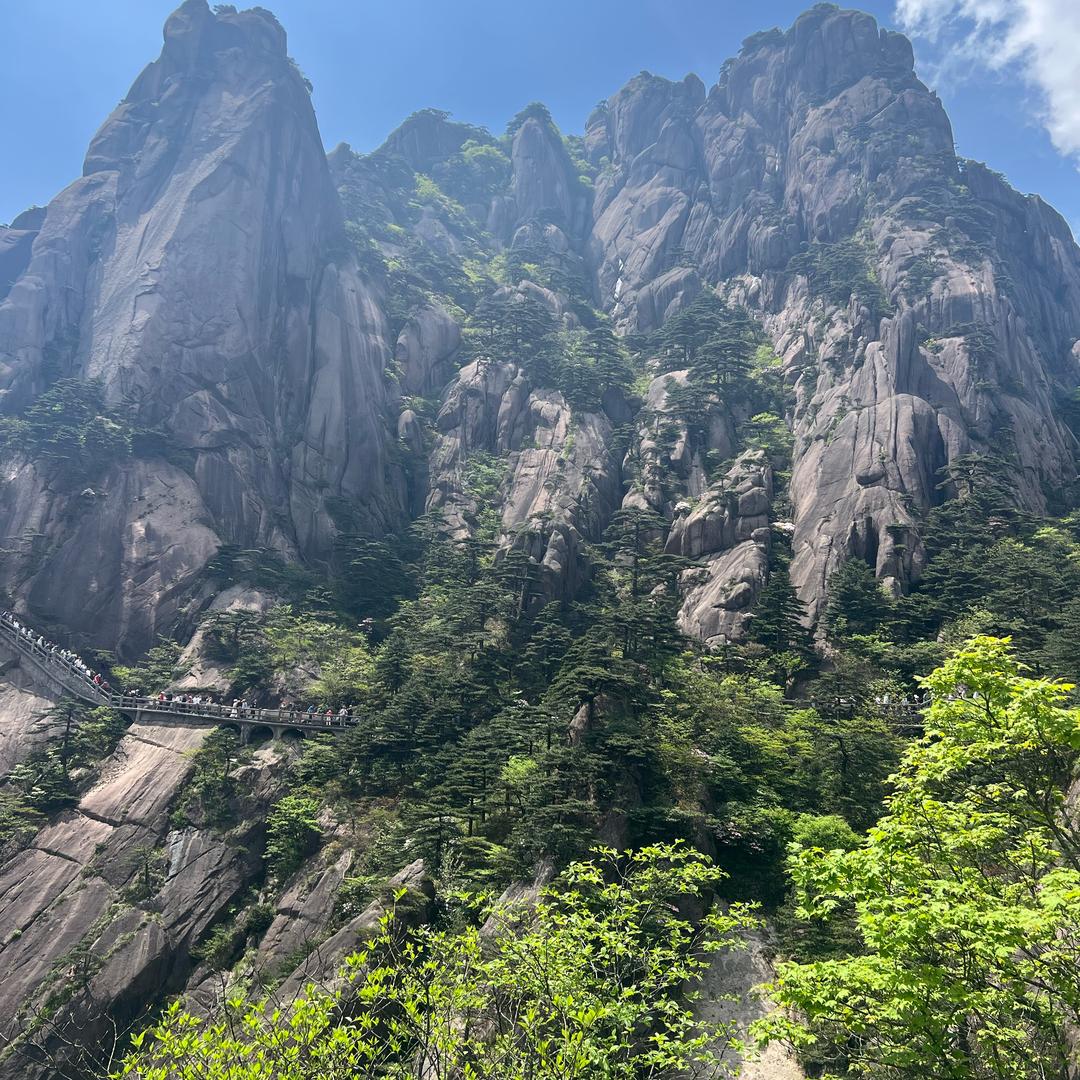 已提保证金小山羊1