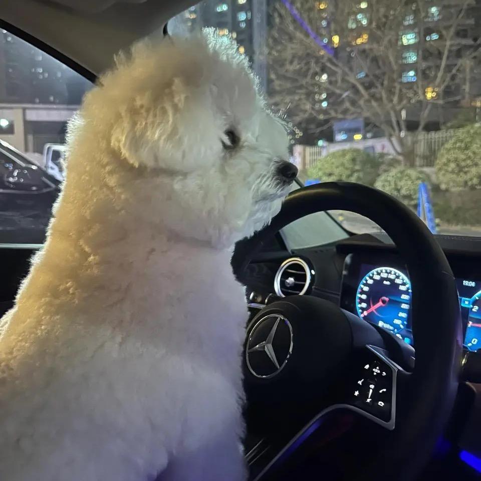 少总 K歌长 招人