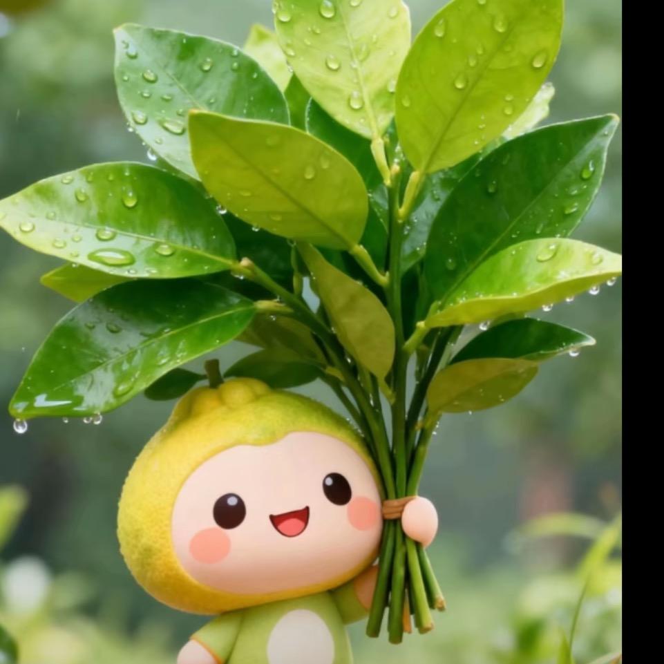 橘uu