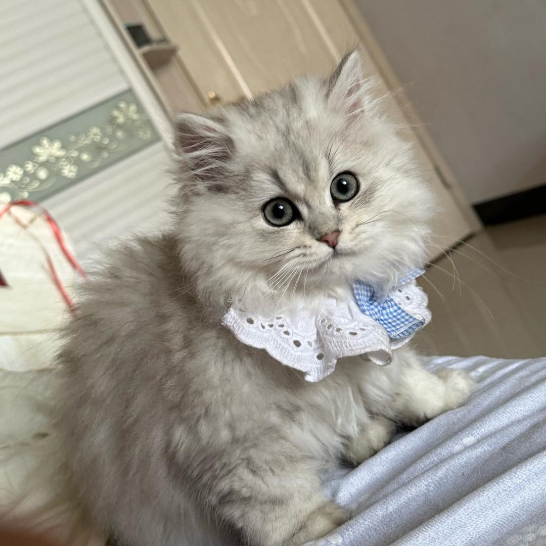 开朗大男孩