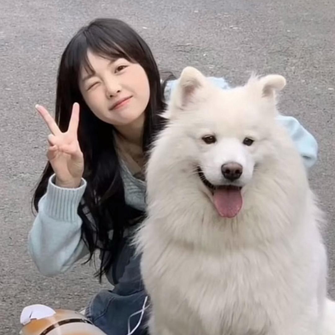 古月狐狐