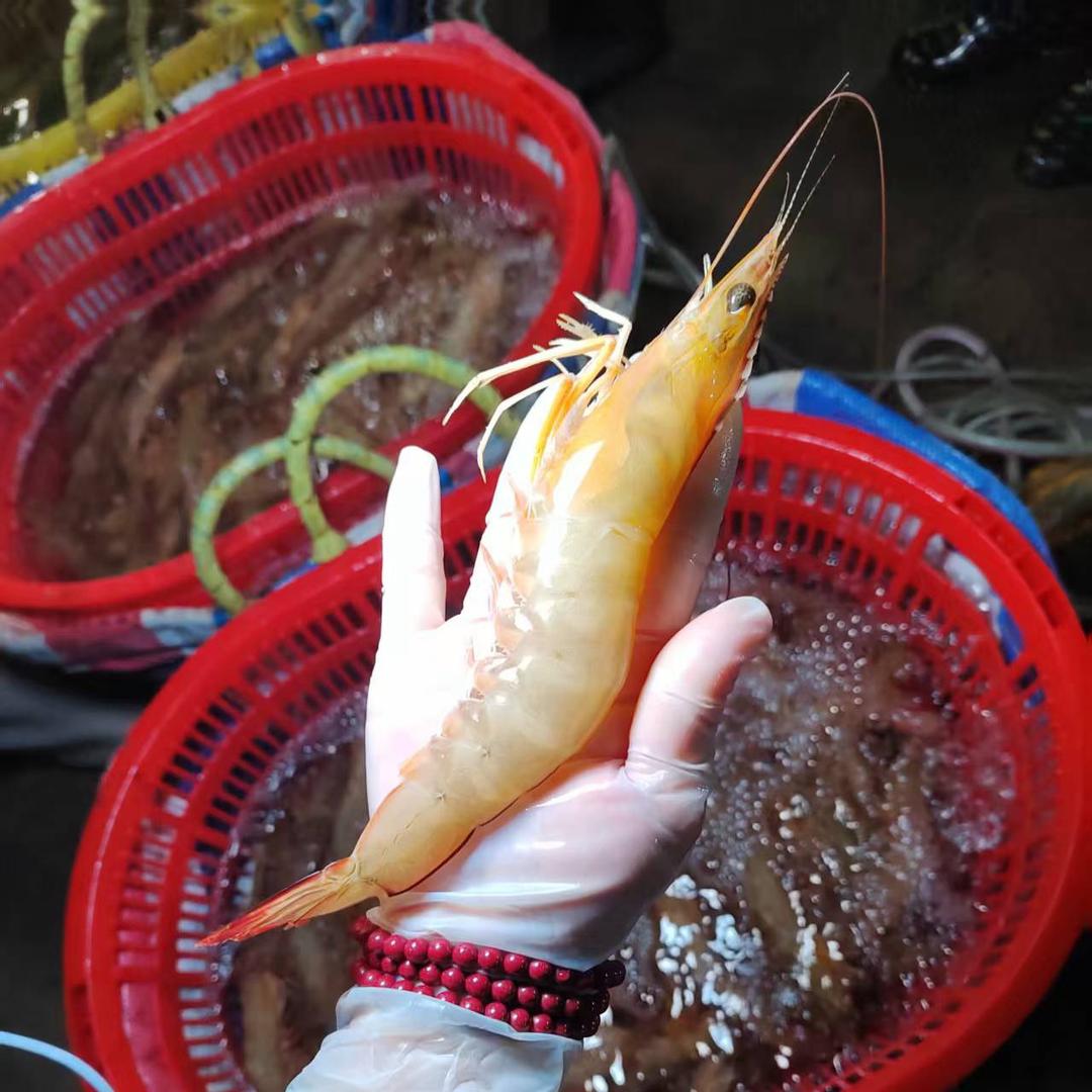 北海阿奇海鲜