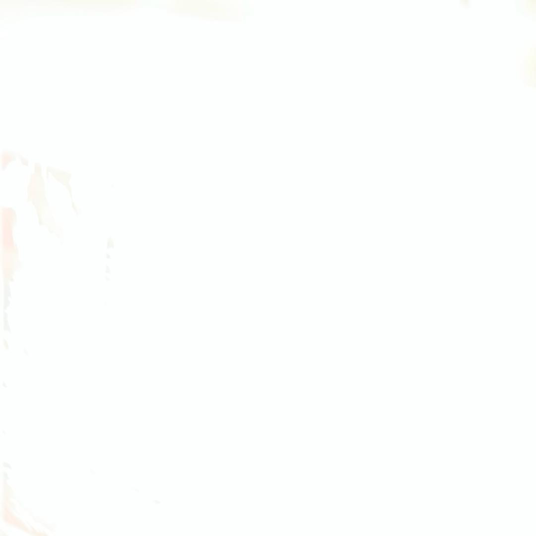 用户5267829171