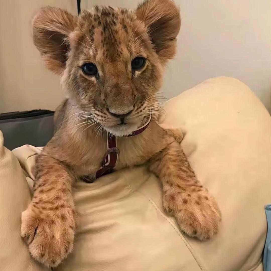 ㅤㅤㅤㅤㅤㅤㅤㅤㅤㅤㅤㅤㅤㅤㅤ ㅤ ㅤ