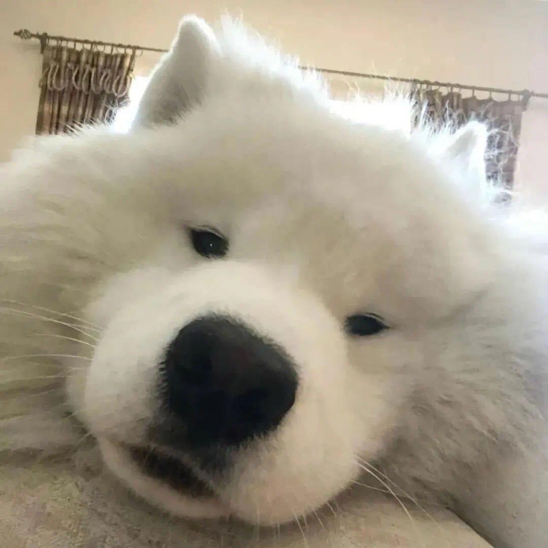 蓝天