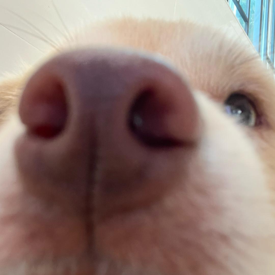 三山（江浙沪²川鄂深圳全勤快乐入内版