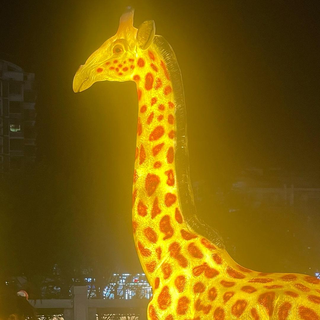 加油小狗落落59645200667xlx