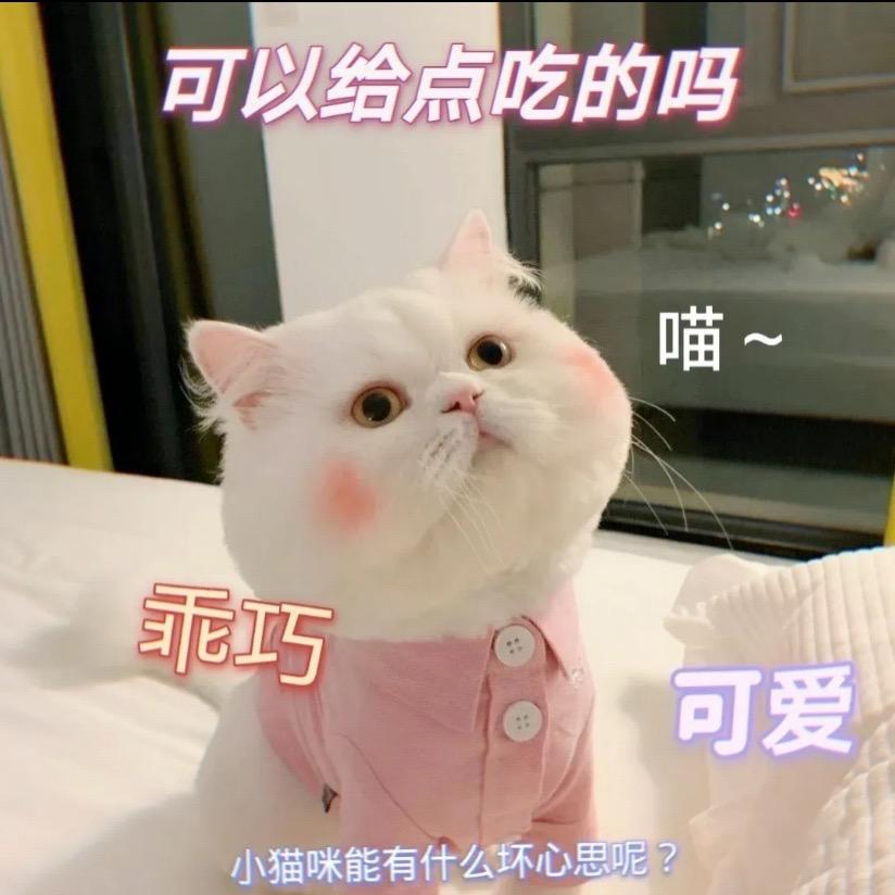 雪^-^儿❤