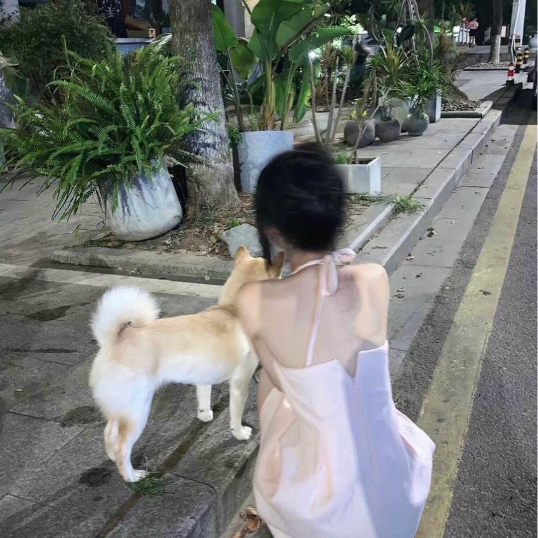 跳跳、