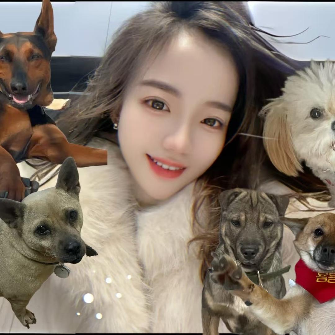 猫狗双全的人生赢家~