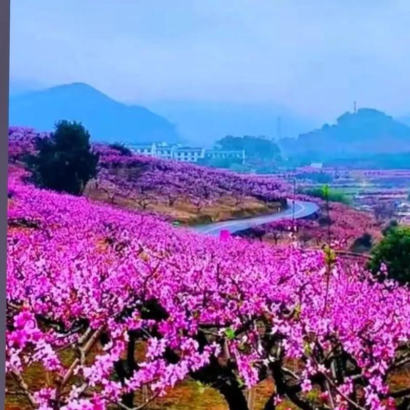 💞 ༄༅梓宸汐缘💓༂