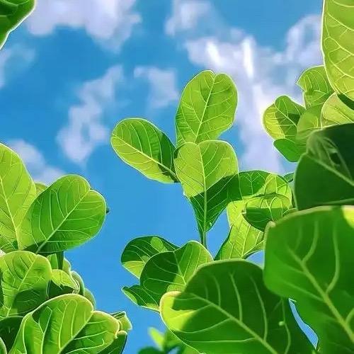 一沐鞋服